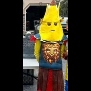 Kids Yellow and Red Lion Costume